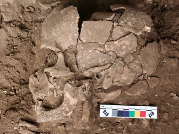 Ancient fossils reveal drug use by prehistoric humans in&nbsp;Indonesia