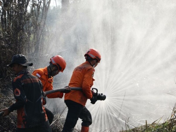 Wildfires in Indonesia pose global concern as emissions&nbsp;rise